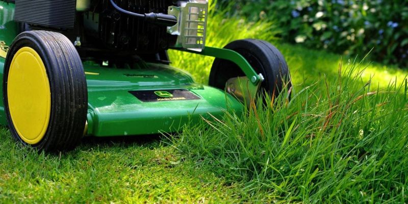 Grass clippings left on the lawn, providing nutrients and moisture retention