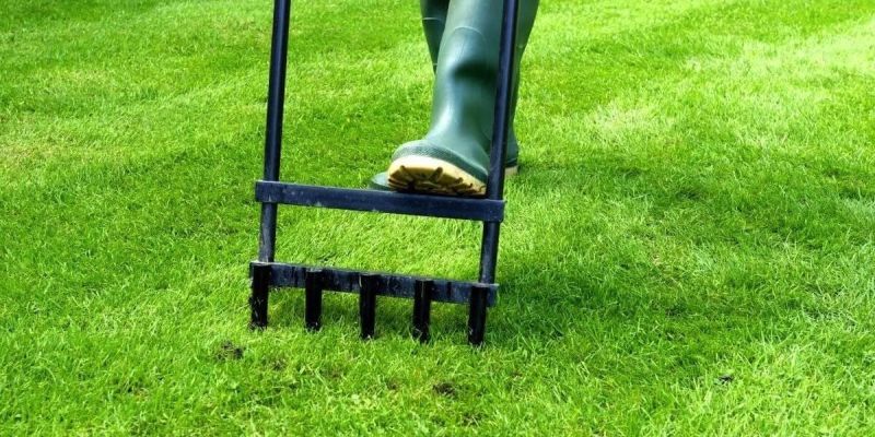 Close-up of a lawn aerator creating holes in healthy grass for better soil airflow